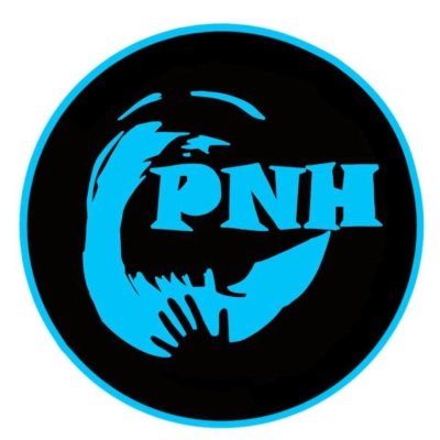 PAYS DE NESTE