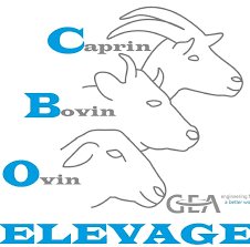 CBO Matériel de Traite et d'Élevage (CBO) est un spécialiste de la fourniture, de l’installation et de la maintenance de matériel agricole — machines à traire, équipements pour élevage caprin, bovin ou ovin, et matériel destiné aux exploitations agricoles. CBO illustre son attachement à l’agriculture locale, à l’élevage et aux valeurs de solidarité et de proximité.